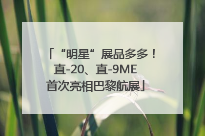 “明星”展品多多！直-20、直-9ME首次亮相巴黎航展