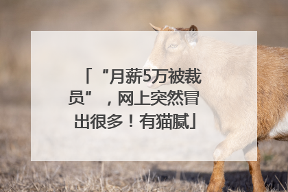“月薪5万被裁员”，网上突然冒出很多！有猫腻