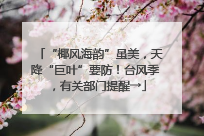 “椰风海韵”虽美，天降“巨叶”要防！台风季，有关部门提醒→