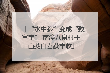 “水中参”变成“致富宝” 南漳八泉村千亩茭白喜获丰收