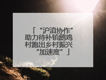 “沪滇协作”助力待补镇鹧鸡村跑出乡村振兴“加速度”