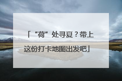 “荷”处寻夏？带上这份打卡地图出发吧