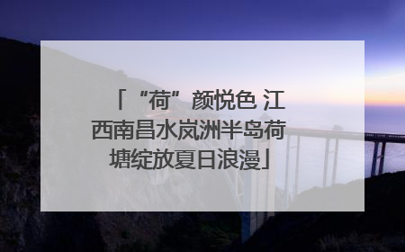 “荷”颜悦色 江西南昌水岚洲半岛荷塘绽放夏日浪漫