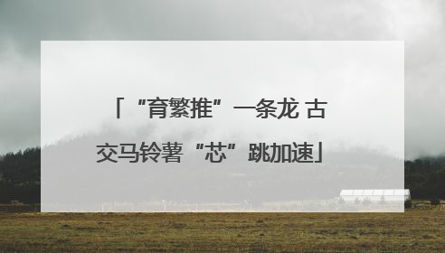“育繁推”一条龙 古交马铃薯“芯”跳加速