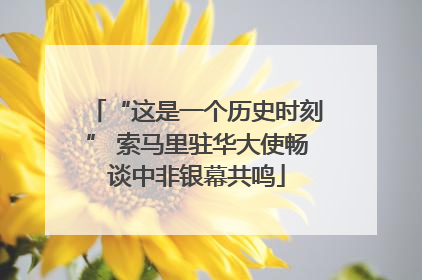 “这是一个历史时刻” 索马里驻华大使畅谈中非银幕共鸣