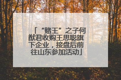 “赌王”之子何猷君收购王思聪旗下企业，接盘后前往山东参加活动