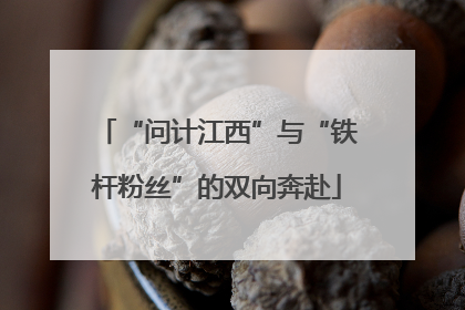 “问计江西”与“铁杆粉丝”的双向奔赴