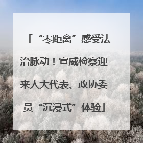 “零距离”感受法治脉动！宣威检察迎来人大代表、政协委员“沉浸式”体验