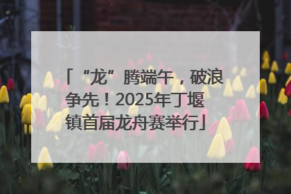 “龙”腾端午，破浪争先！2025年丁堰镇首届龙舟赛举行