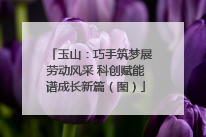 玉山：巧手筑梦展劳动风采 科创赋能谱成长新篇（图）