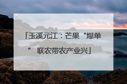 玉溪元江：芒果“爆单” 联农带农产业兴