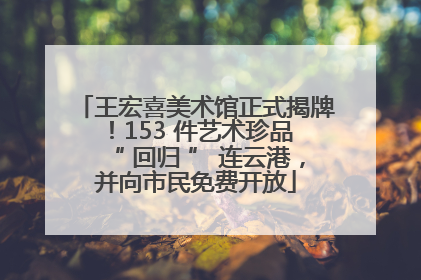 王宏喜美术馆正式揭牌！153 件艺术珍品 “ 回归 ” 连云港，并向市民免费开放