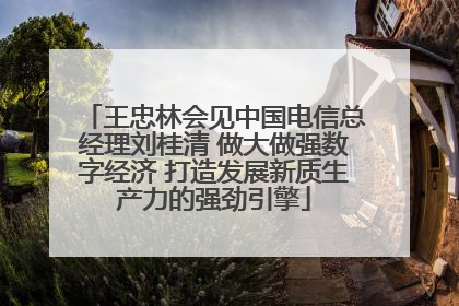 王忠林会见中国电信总经理刘桂清 做大做强数字经济 打造发展新质生产力的强劲引擎