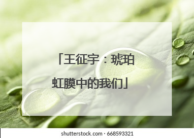 王征宇：琥珀虹膜中的我们