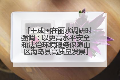 王成国在丽水调研时强调：以更高水平安全和法治环境服务保障山区海岛县高质量发展
