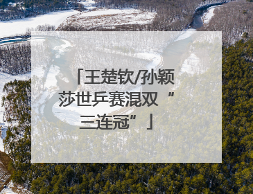 王楚钦/孙颖莎世乒赛混双“三连冠”