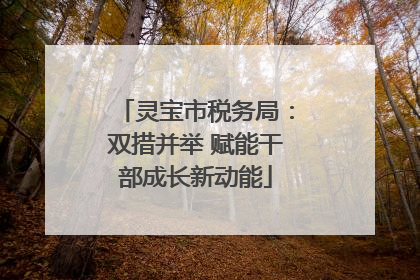 灵宝市税务局：双措并举 赋能干部成长新动能