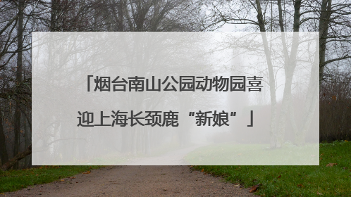 烟台南山公园动物园喜迎上海长颈鹿“新娘”