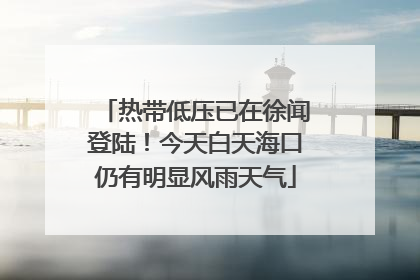 热带低压已在徐闻登陆！今天白天海口仍有明显风雨天气