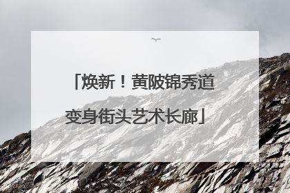 焕新！黄陂锦秀道变身街头艺术长廊