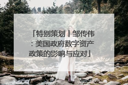 特别策划丨邹传伟：美国政府数字资产政策的影响与应对