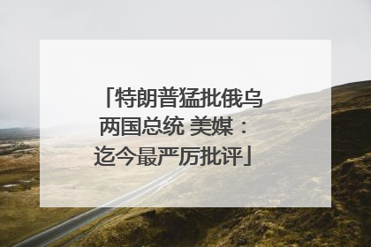 特朗普猛批俄乌两国总统 美媒：迄今最严厉批评