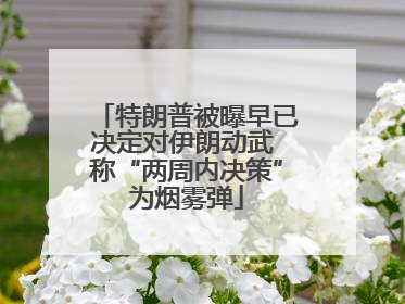 特朗普被曝早已决定对伊朗动武 称“两周内决策”为烟雾弹