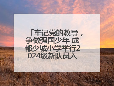牢记党的教导，争做强国少年 成都少城小学举行2024级新队员入队仪式