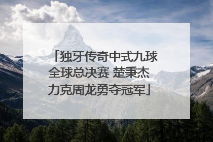 独牙传奇中式九球全球总决赛 楚秉杰力克周龙勇夺冠军