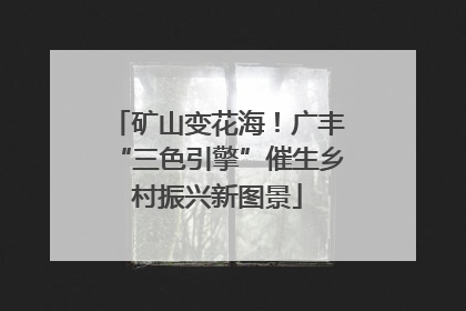 矿山变花海！广丰“三色引擎”催生乡村振兴新图景