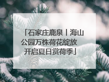 石家庄鹿泉丨海山公园万株荷花绽放 开启夏日赏荷季