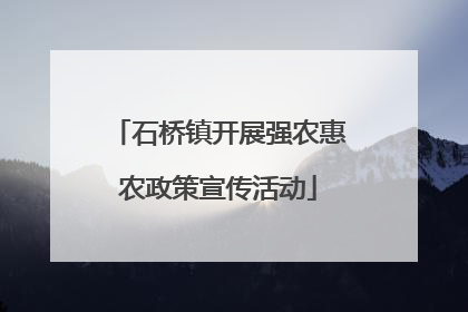 石桥镇开展强农惠农政策宣传活动