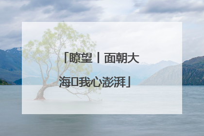 瞭望丨面朝大海 我心澎湃