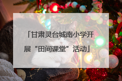 甘肃灵台城南小学开展“田间课堂”活动