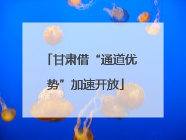 甘肃借“通道优势”加速开放