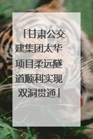 甘肃公交建集团太华项目柔远隧道顺利实现双洞贯通