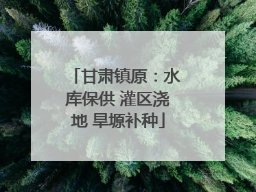 甘肃镇原:水库保供 灌区浇地 旱塬补种