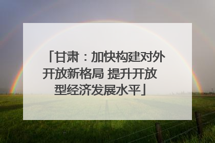 甘肃：加快构建对外开放新格局 提升开放型经济发展水平