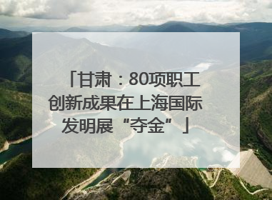 甘肃：80项职工创新成果在上海国际发明展“夺金”