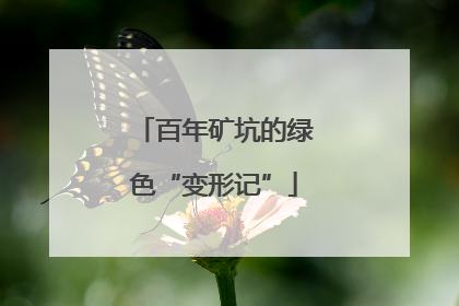 百年矿坑的绿色“变形记”