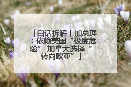白话拆解丨加总理：依赖美国“极度危险” 加拿大选择“转向欧亚”