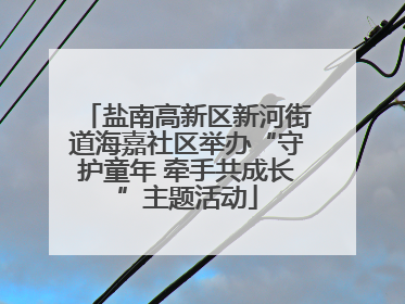 盐南高新区新河街道海嘉社区举办“守护童年 牵手共成长”主题活动