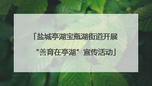 盐城亭湖宝瓶湖街道开展“善育在亭湖”宣传活动