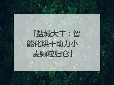 盐城大丰：智能化烘干助力小麦颗粒归仓