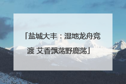 盐城大丰：湿地龙舟竞渡 艾香飘荡野鹿荡