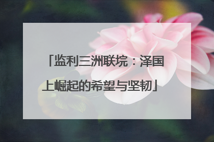 监利三洲联垸：泽国上崛起的希望与坚韧