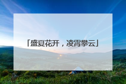 盛夏花开，凌霄攀云