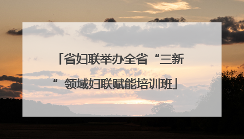 省妇联举办全省“三新”领域妇联赋能培训班