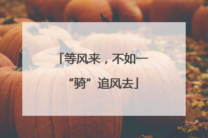等风来，不如一“骑”追风去