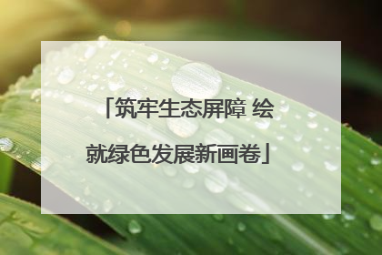 筑牢生态屏障 绘就绿色发展新画卷